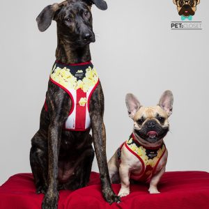 kiara e stewie sweet popcorn dog harness peitoral
