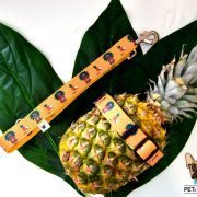 tiki bar foto4 tiki bar foto4